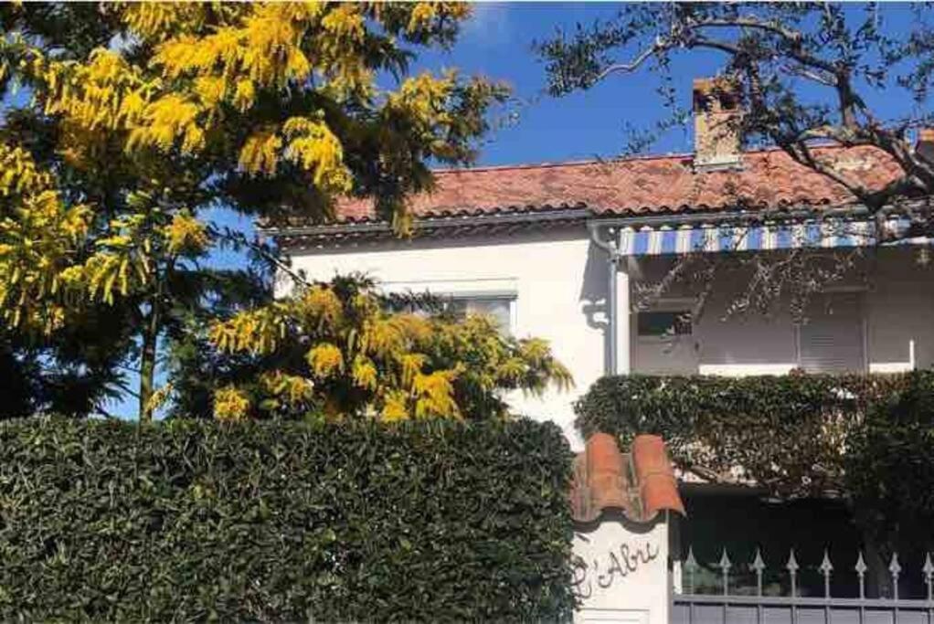 Charmant studio vieil Antibes