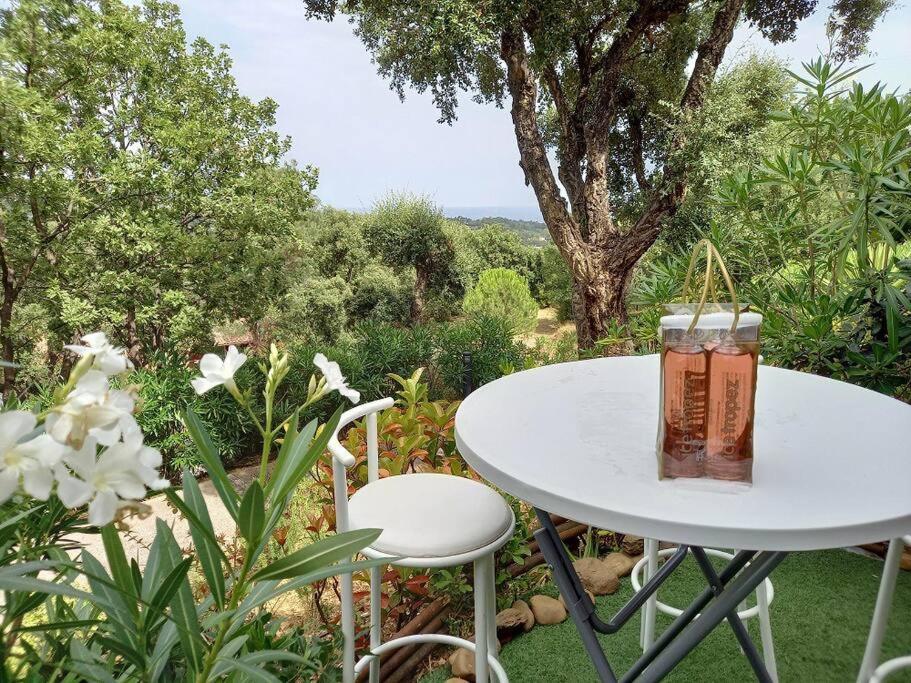 Charmant T2 de 34m2 en Résidence de standing à Grimaud - Piscines - Jardinet - Plein coeur du Golfe de St Tropez- Pleine nature 1113 Route de Bardasse, 83310 Grimaud