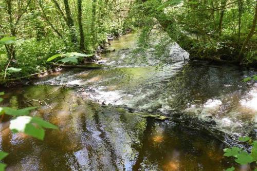 Charmant T2 de 45m2 à Saint Avé