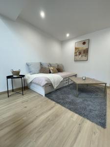 Appartement Charmant T2, parking privé 32 Avenue Robert Coll 65400 Argelès-Gazost Midi-Pyrénées