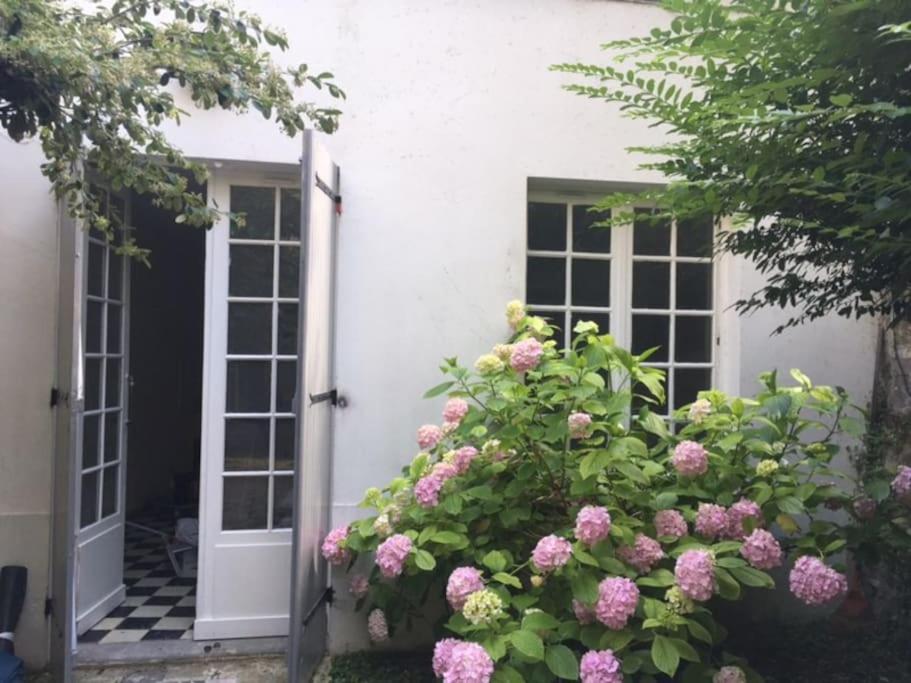 Appartement Charmante maisonnette jardin Triangle d'or 22 Rue de Lurbe 33000 Bordeaux
