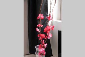 Charme & Cocooning : Belle Vue sur la Loire