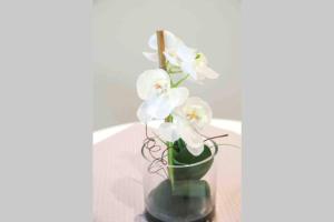 Charme & Cocooning : Belle Vue sur la Loire