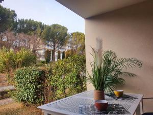 Charme de Provence - Piscine & Climatisation