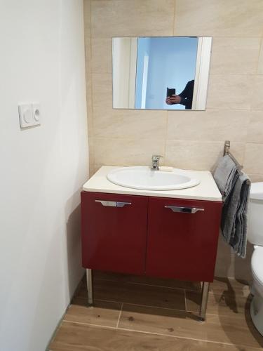 charment appartement T2 RDC de villa