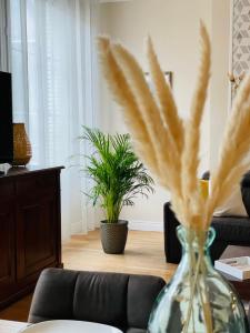 Charming 3-bedroom apartment in the heart of Tours