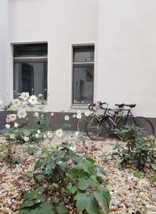 Charming and quiet flat 3 min from Admiralbrücke - Kreuzberg