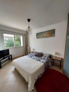 Charming and spacious 2 rooms