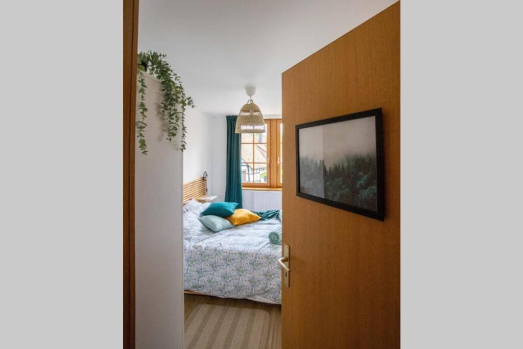 Charming apartment Basel border - 3 bedrooms 34 Rue de Hesingue, 68220 Hégenheim