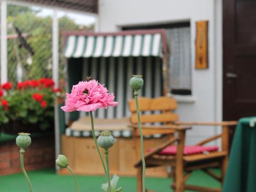 Charming Apartment in Rerik with Fenced Garden
