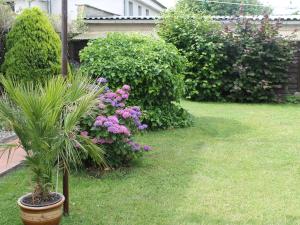 Charming Apartment in Rerik with Fenced Garden