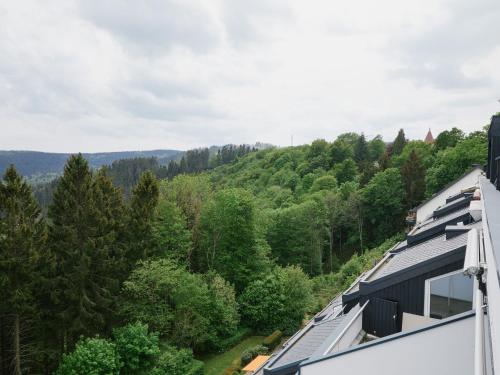 Charming apartment in Winterberg with balcony