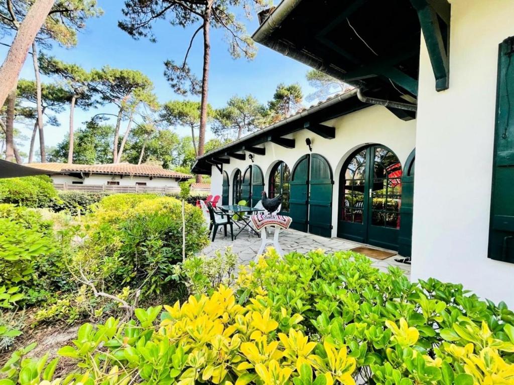 Charming Apartment on R gen island with Balcony 18586 Sellin