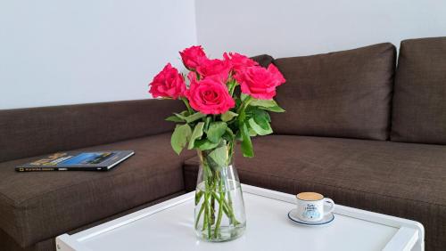 Charming apartment very close to the City CENTER