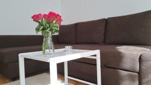 Charming apartment very close to the City CENTER