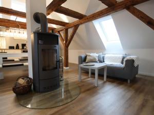 charming apartment with fireplace