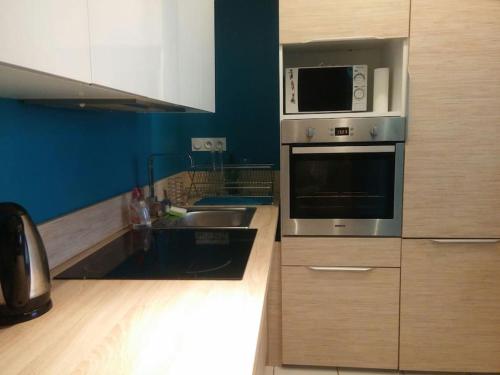 Charming duplex in the Croix Rousse (Lyon)