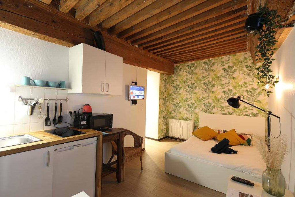 Charming Studio Centre Ville De Lyon 38 Rue de l'arbre sec, 69001 Lyon