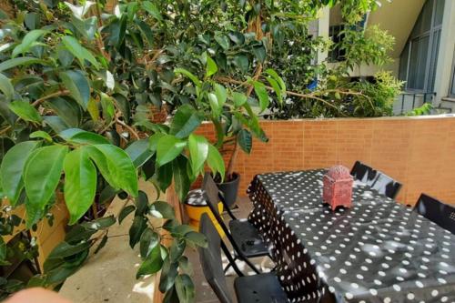 Charming Sunny Terrace / One bedroom Apartment