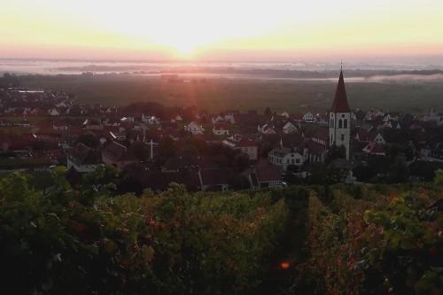 Chez Delphine