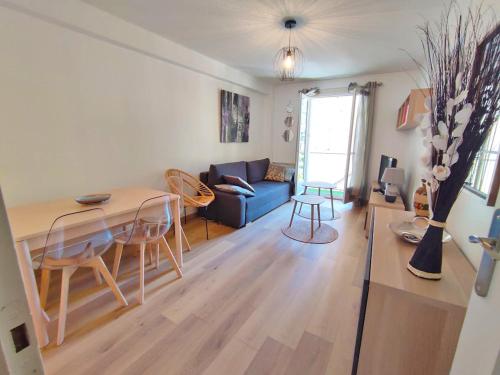 Chez Dominique, T2 40M2, centre ville, vue montagne