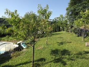 Chez Gerard