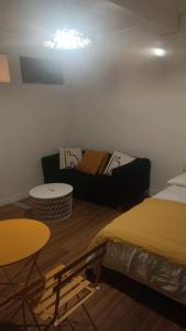 Chez Ninette_Grand studio en centre-ville