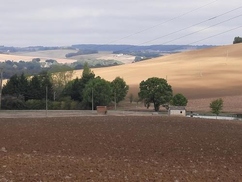 Chez Régis