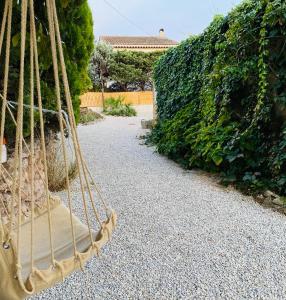 Chez titia