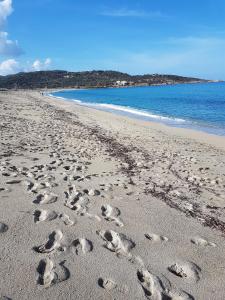 Appartement Chez Valérie et Stéphane, Les terrasses de Lozari route de palasca 20226 Belgodère Corse