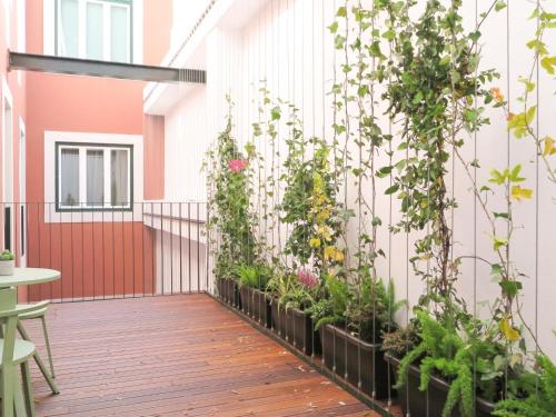 Chiado modern apt with ac elevator green terrace