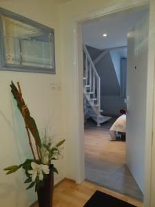 Appartement CHIC & COSY 3 Etage 94 Grand Rue 67500 Haguenau Alsace