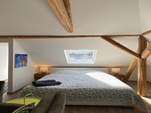 Chic holiday flat in Trittenheim between vineyards