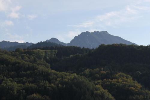 ciao-aschau Bergen FeWo Alpenheide Waldhauser