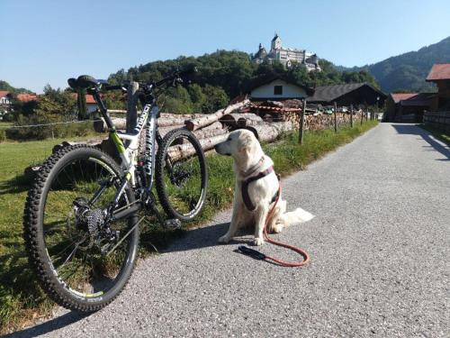 ciao-aschau FeWo Röder