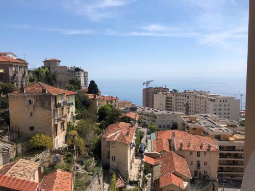 Citronnier Monaco Sea View