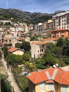 Citronnier Monaco Sea View