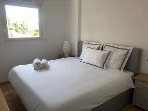 Citronnier Monaco Sea View