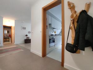 City Apartament