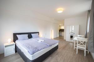 City Apartment Küche Bad im Zentrum Ravensburgs A09