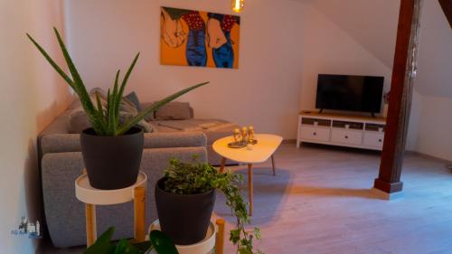 City Apartment Wertheim