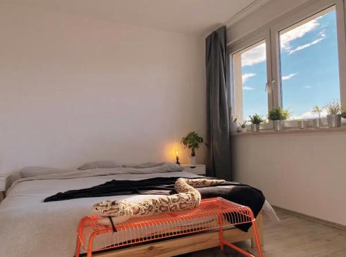 City Center + beautiful View - 1 bedroom flat