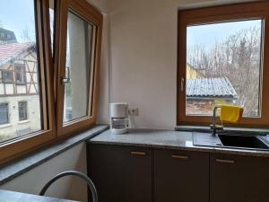 Cityappartement am Goethepark