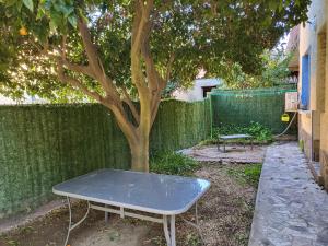 Appartement Clémentine 7 Rue Antonio Machado 66190 Collioure Languedoc-Roussillon