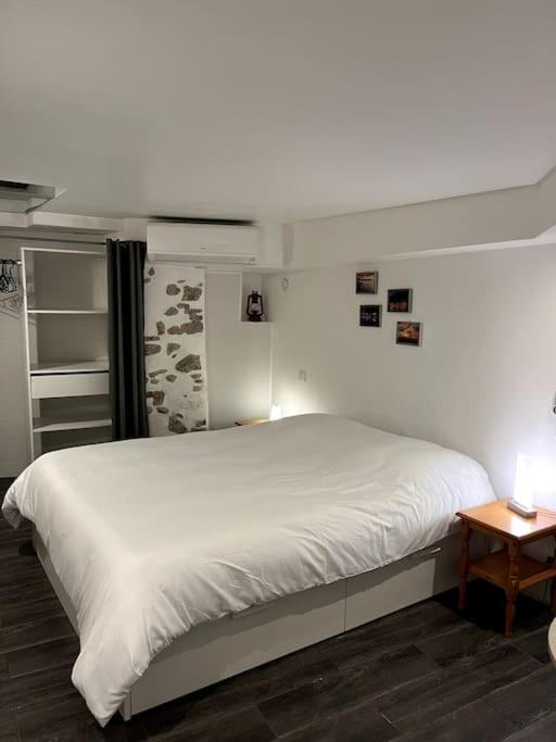 Appartement Appartement climatisé ALBI - Centre 12 Rue Pierre Gilles, 81000 Albi