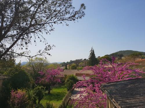 Appartement climatisé les Mimosas Les Arcs-sur-Argens france