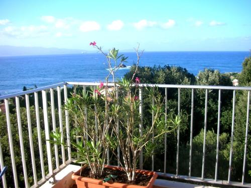 Appartement Climatisé Vue Mer Route des Sanguinaires Ajaccio france