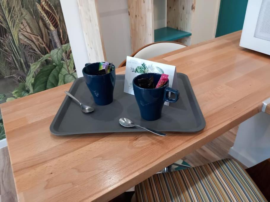 Appartement Cocon Cosy #CDG# Terrasse jardin 49 Rue des Fauvettes 95380 Puiseux-en-France
