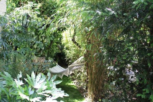 Cocoon in a green setting, private garden