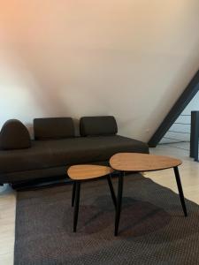 Appartement Cocoon Loft 12 Place du Capitaine Dreyfus 68000 Colmar Alsace